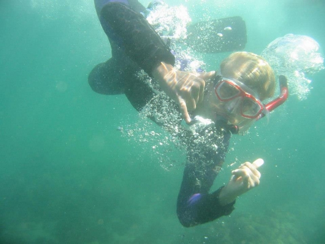  Mergulho com snorkel em Santa Catalina 
